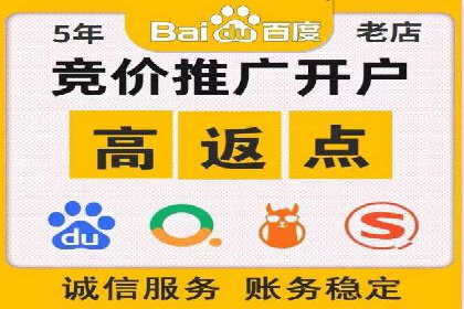 顶级SEM运营公司案例分析